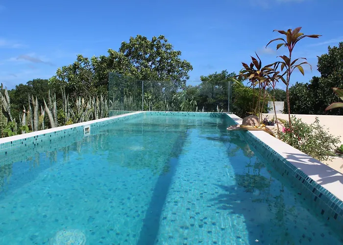 Apartment Vicenta 3 *